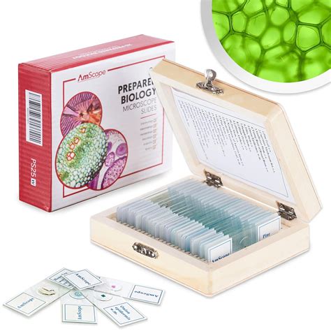 buy microscope slides near me.